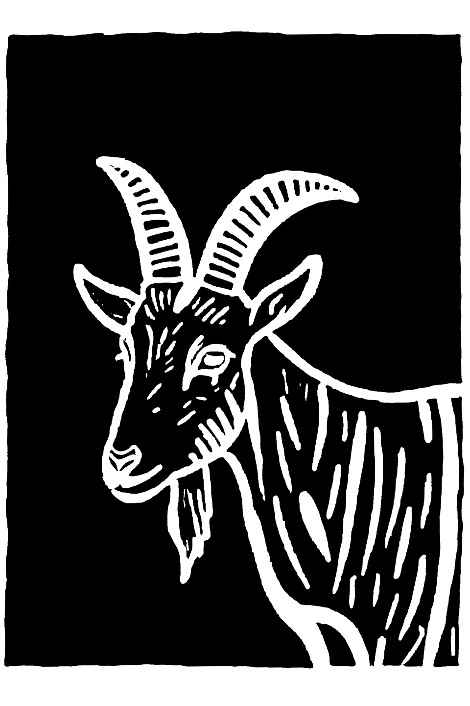 Grafika warsztatowa - koza